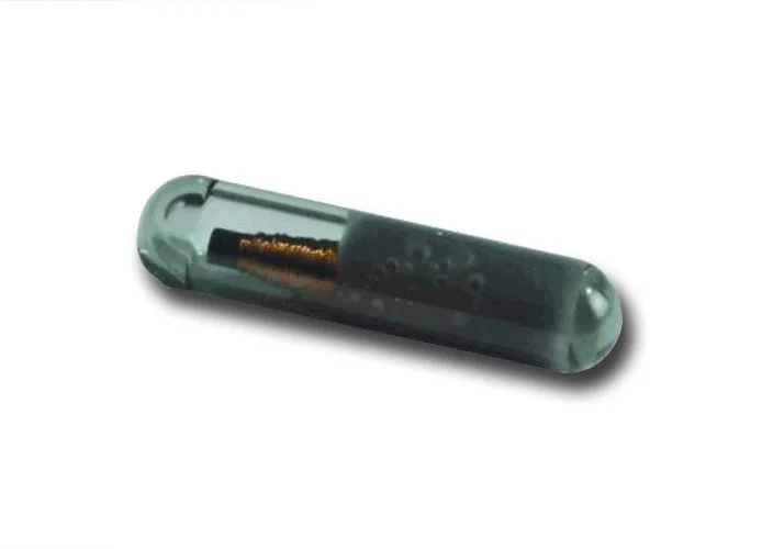 came bulbo transponder in vetro 009tag tag